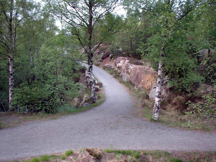 Damsted Nordsjøprosjektet