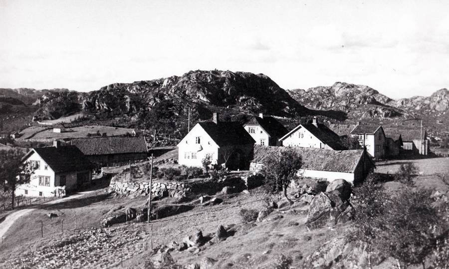 Hafsøy