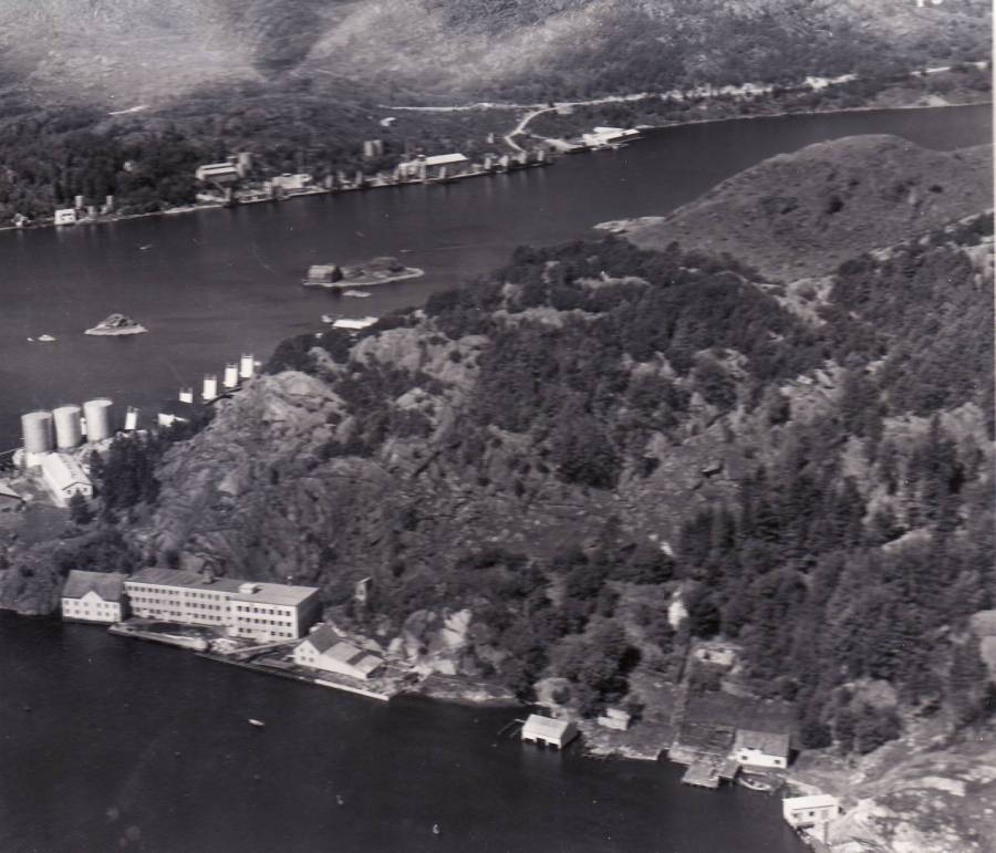 Kontrari 1956